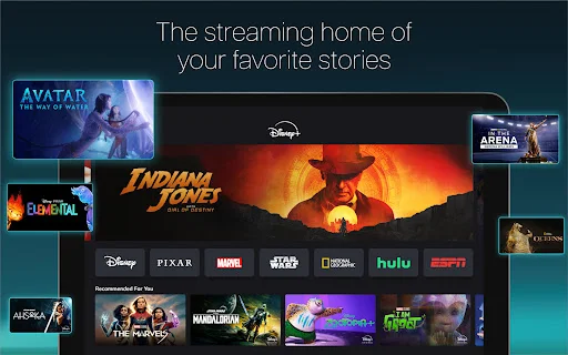 I-download ang Disney+: Manood ng Mga Pelikula at Serye Online - Screenshot 5