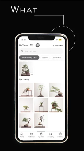 I-download ang Mirai Mobile – Ang Iyong Personal na Bonsai Guide - Screenshot 8