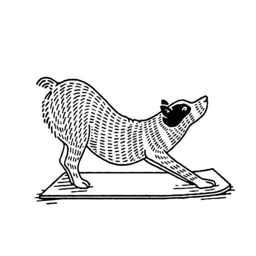 I-download ang Find What Feels Good Yoga – Gabay sa Yoga at Meditation