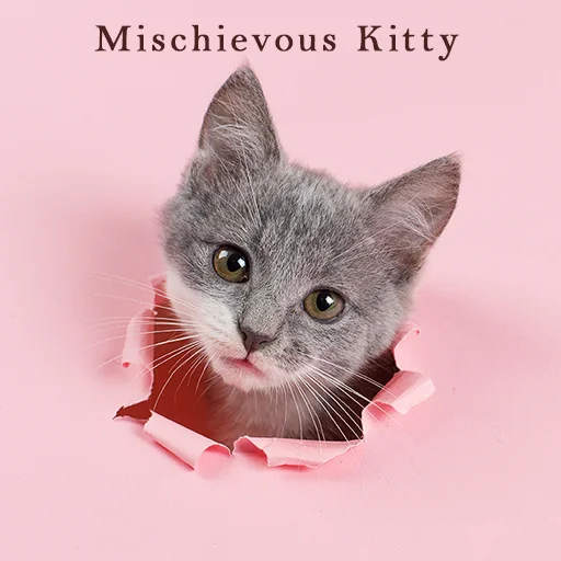 I-download ang Mischievous Kitty Theme – Libreng Cute na Tema