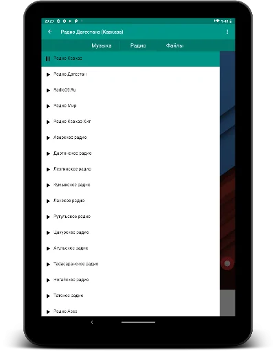 I-download ang Radio Dagestan: Makinig sa Musika mula sa Caucasus - Screenshot 11